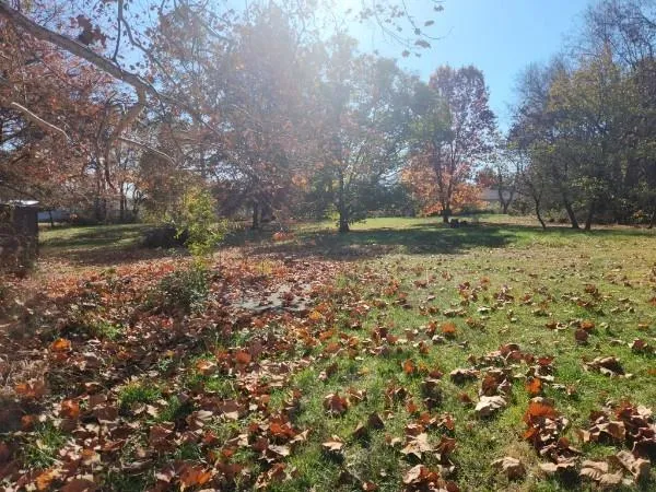 $69,500 | 710 West Mason Street, Odessa, MO 64076