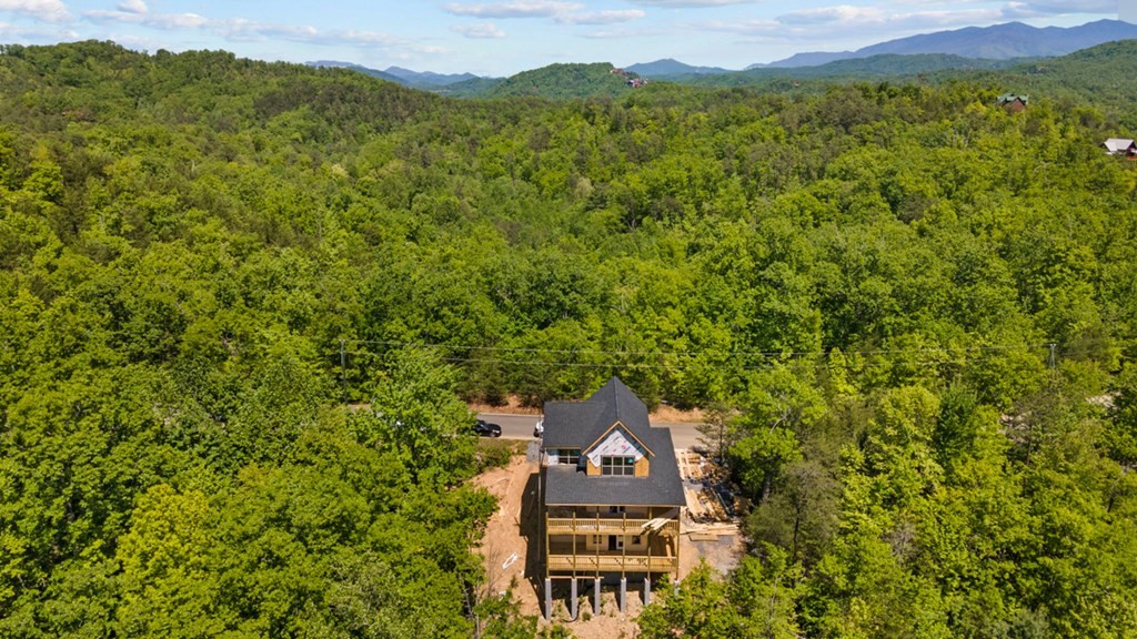 1633 Pinestand Rdg Way Sevierville, TN 37862 - Photo 7 of 33 Gallery Image 7