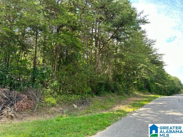 520 18th Street, Unit 71 Calera, AL 35040 - Photo 6 of 6