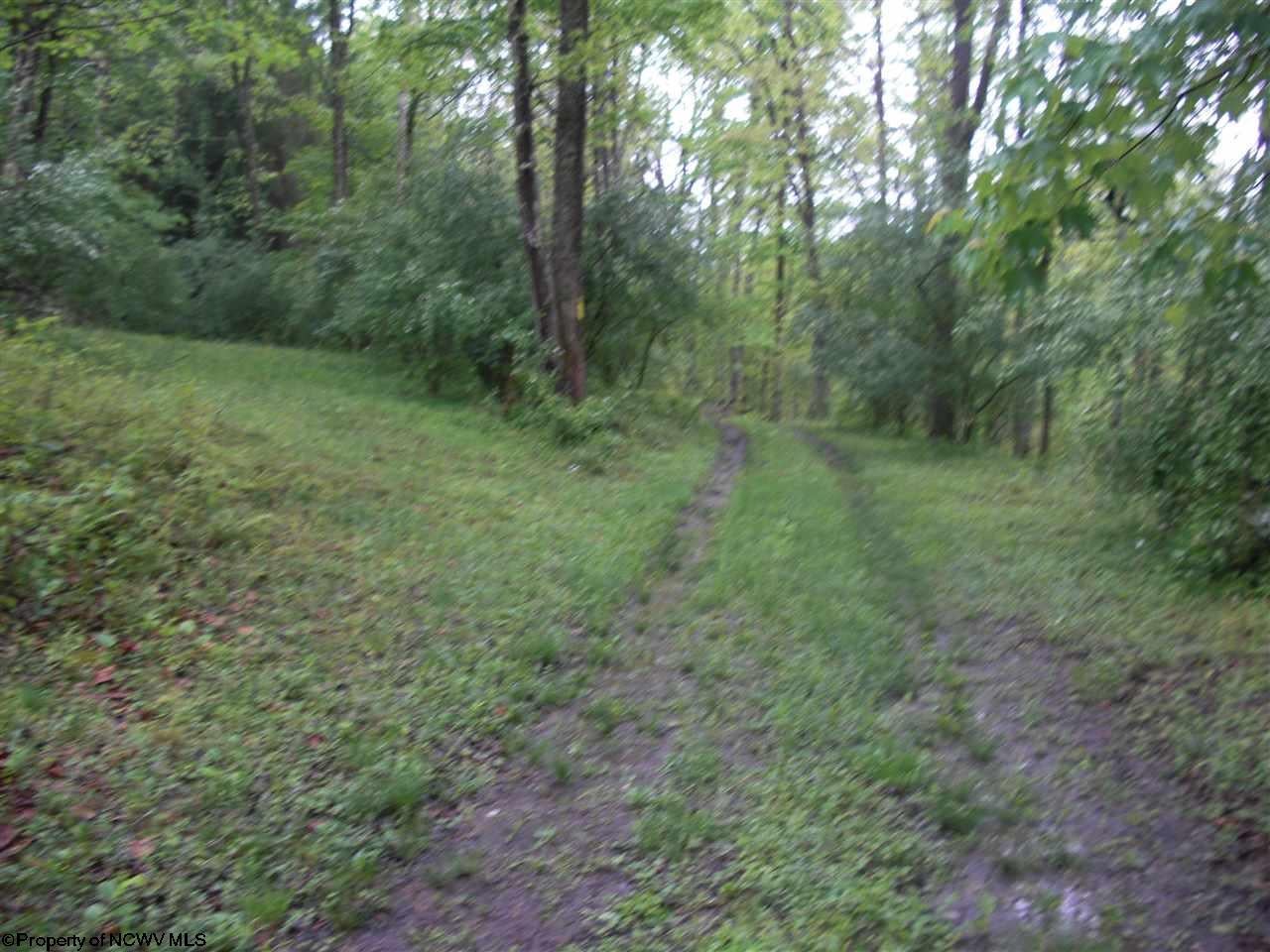 2822 Walnut Fork Road Camden, WV 26338 - Photo 10 of 20 Gallery Image 10