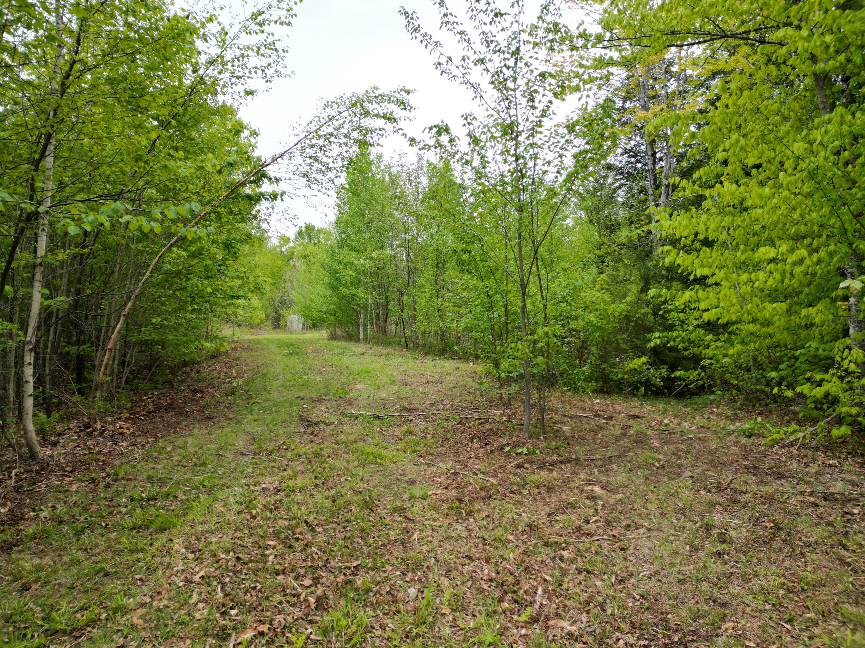 Lot 8-2 Dill Valley Road Lakeville, ME 04487 - Photo 6 of 21 DJI_0914