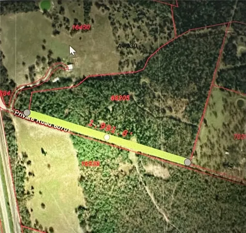 a view of a forest filled with trees