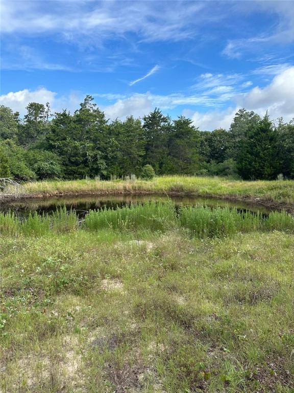 145 Private Road 6070 Cameron, TX 76520 - Photo 18 of 24 a view of a lake from a yard