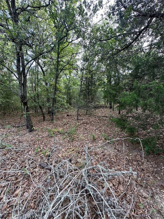 145 Private Road 6070 Cameron, TX 76520 - Photo 20 of 24 a view of a forest filled with trees