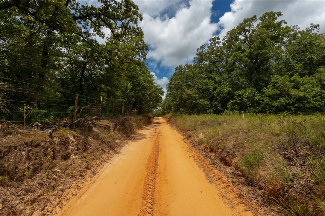 145 Private Road 6070 Cameron, TX 76520 - Photo 2 of 24 a view of a lake with trees in front of it