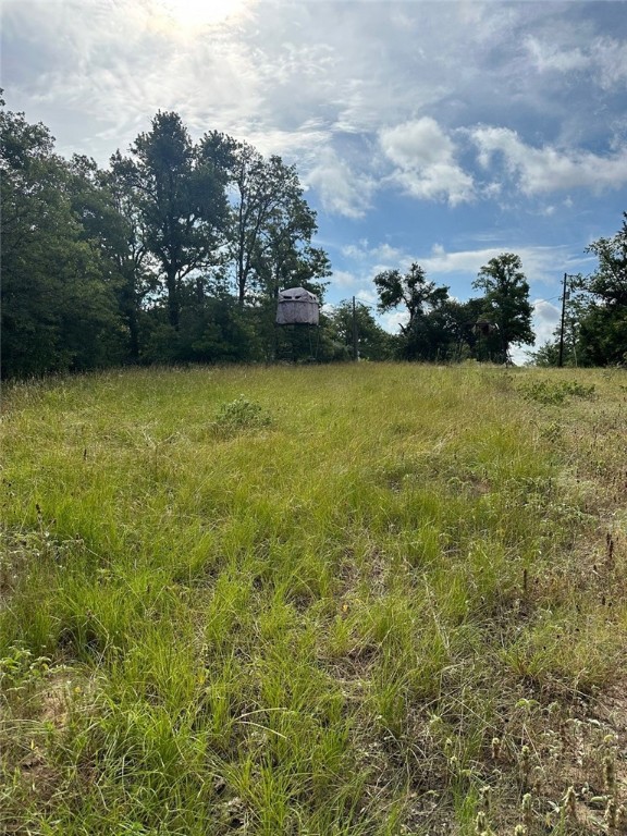 145 Private Road 6070 Cameron, TX 76520 - Photo 23 of 24