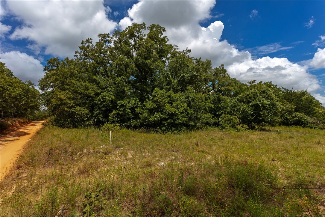 145 Private Road 6070 Cameron, TX 76520 - Photo 4 of 24 a view of a lake