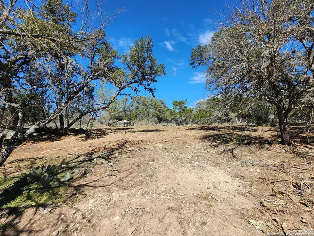 a view of dirt yard with a tree