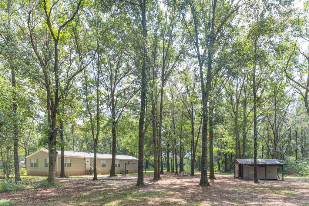 423 Tedder Road East DeFuniak Springs, FL 32433 - Photo 3 of 29 a view of a house with a backyard and trees