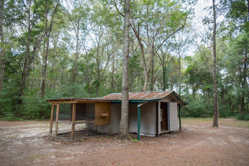 423 Tedder Road East DeFuniak Springs, FL 32433 - Photo 22 of 29 a view of a barn in the middle of a forest