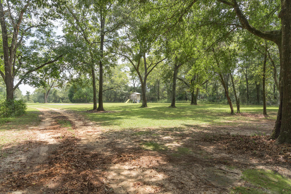 423 Tedder Road East DeFuniak Springs, FL 32433 - Photo 23 of 29 a view of a trees in a park