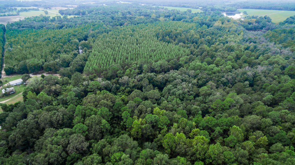 423 Tedder Road East DeFuniak Springs, FL 32433 - Photo 29 of 29 an aerial view of a forest with houses