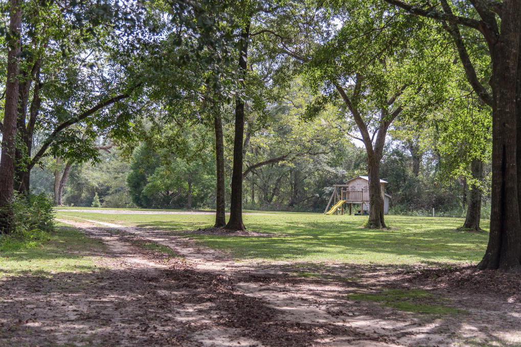423 Tedder Road East DeFuniak Springs, FL 32433 - Photo 7 of 29 a view of a tree in a yard