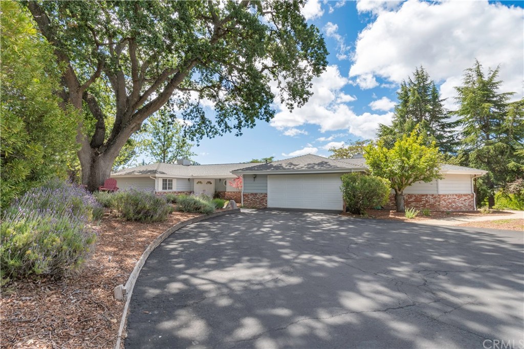 2755 Ardilla Road Atascadero, CA 93422 - Photo 3 of 42 a view of a house with a tree and plants