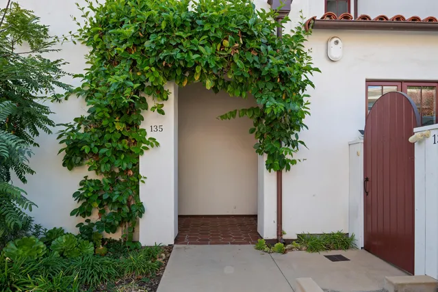 an outdoor space with plants