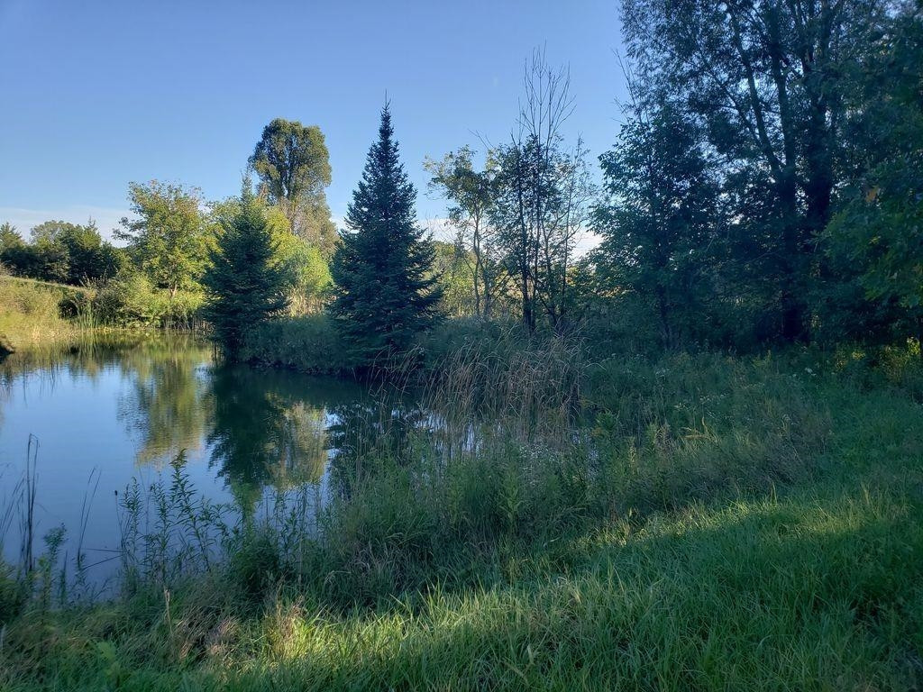 171703 Garvey Road Chelsea, MI 48118 - Photo 1 of 1
