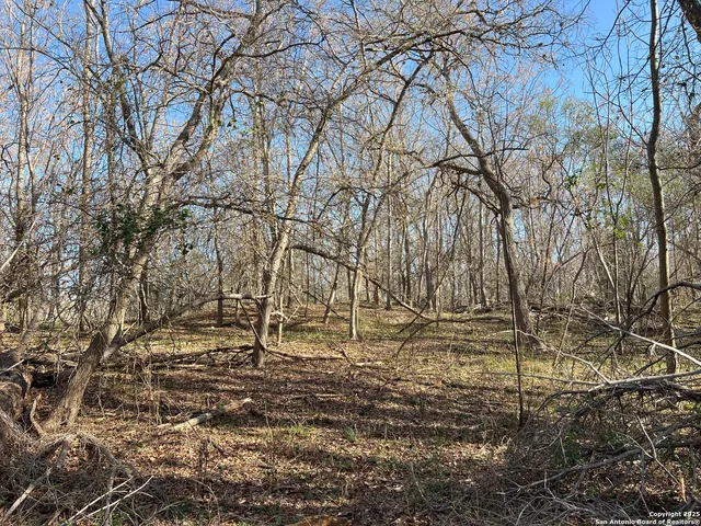 $976,500 | 908 County Road 5711, La Coste, TX 78039