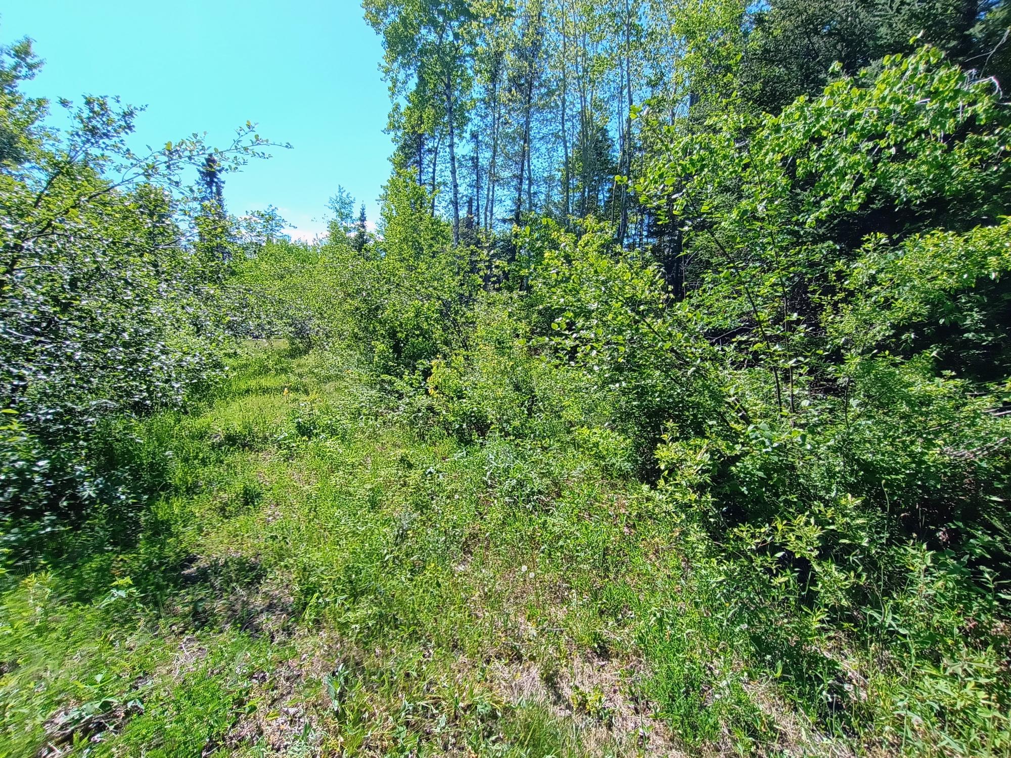 55.77-ac 55.77-ac Neuberger Road, Unit 55 77 Butternut, WI 54514 - Photo 7 of 9 Gallery Image 7