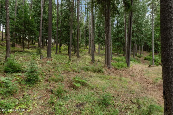 $469,000 | 317 Power Avenue, Kingston, ID 83839