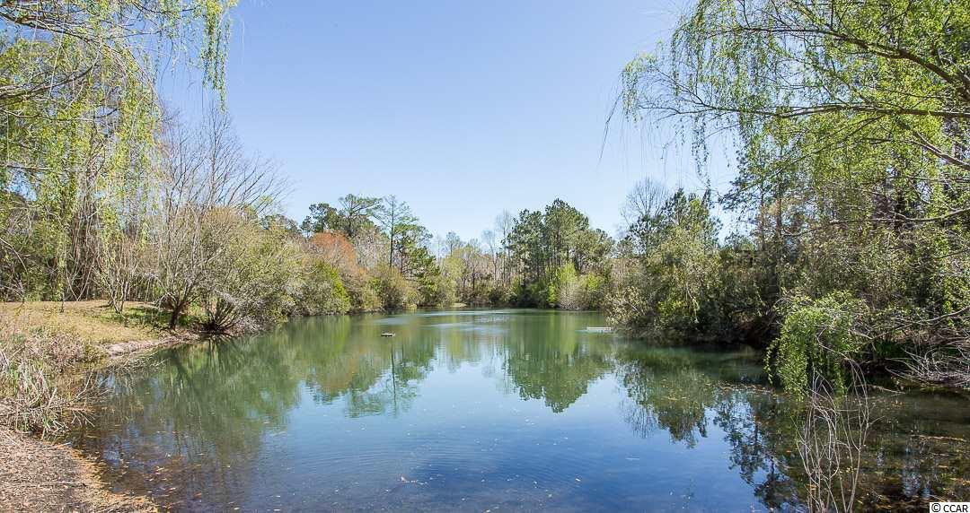 160 Otter Run Road Pawleys Island, SC 29585 - Photo 20 of 25 Gallery Image 20