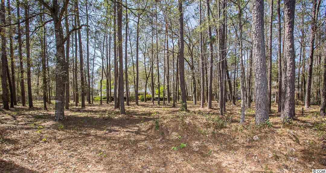 160 Otter Run Road Pawleys Island, SC 29585 - Photo 21 of 25 Gallery Image 21