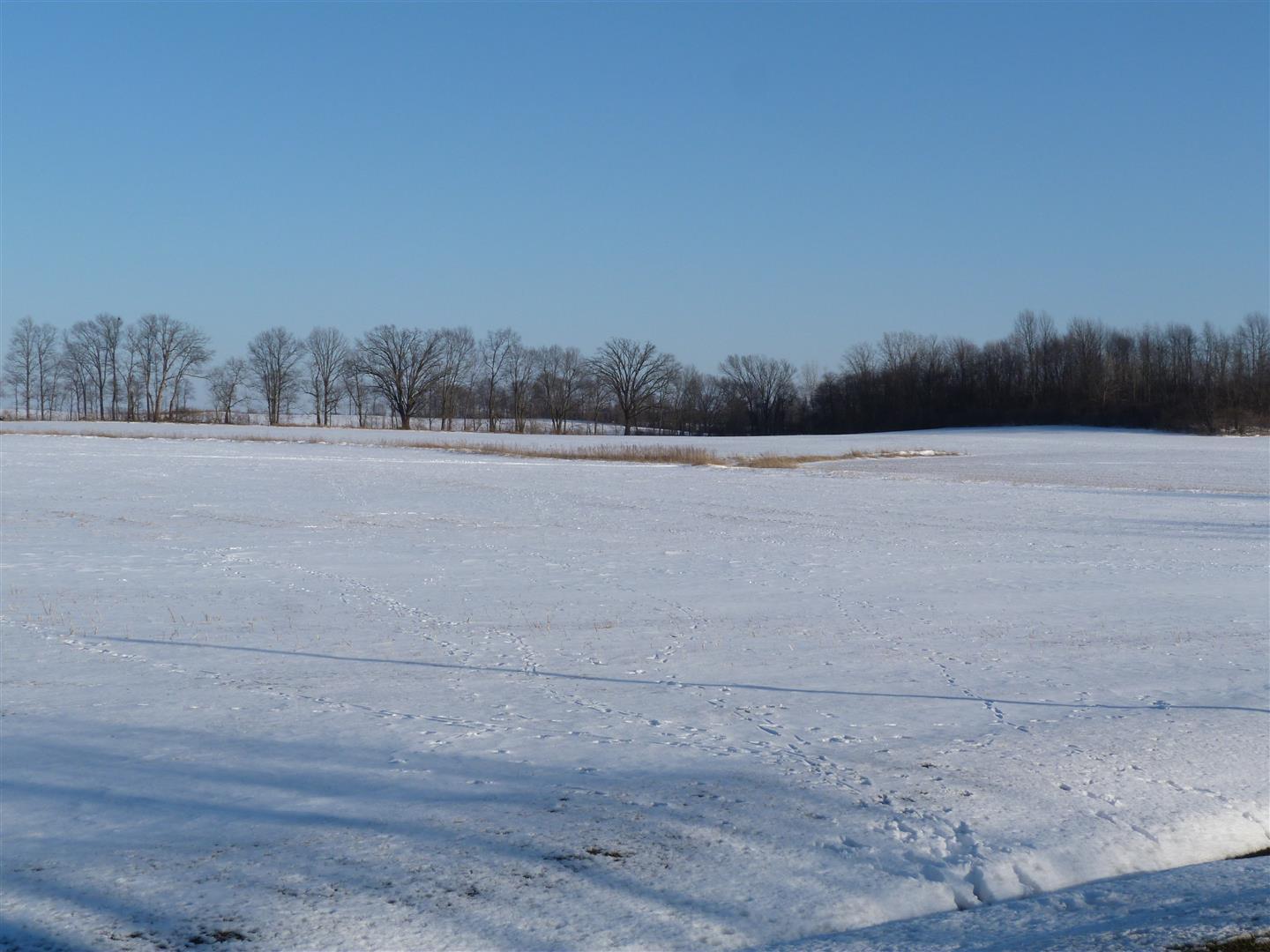 0 Ford Road, Unit 1 St. Paris, OH 43072 - Photo 6 of 8
