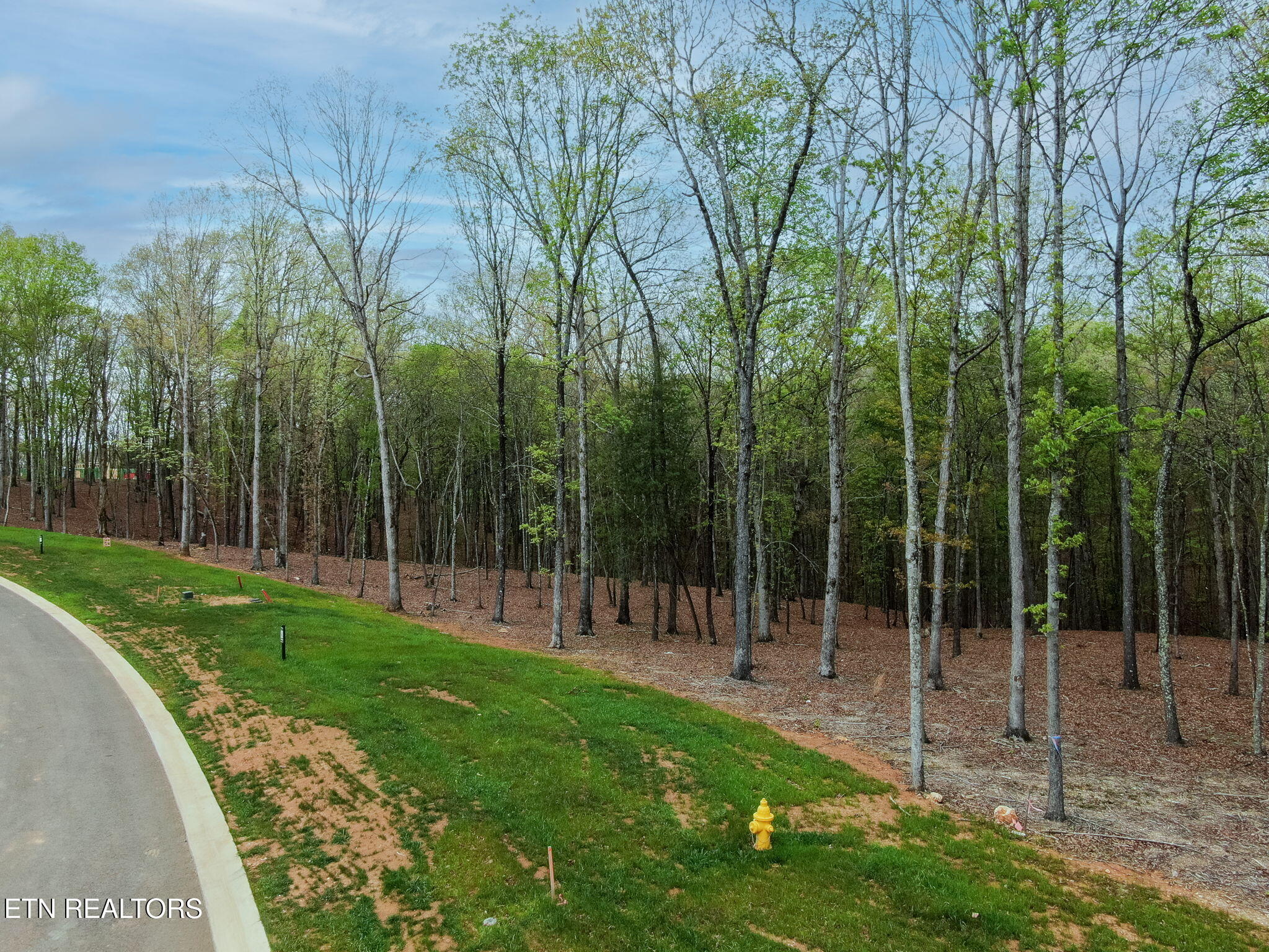 289 Flip Flop Way Loudon, TN 37774 - Photo 12 of 40 12-web-or-mls-Tennessee National_-9
