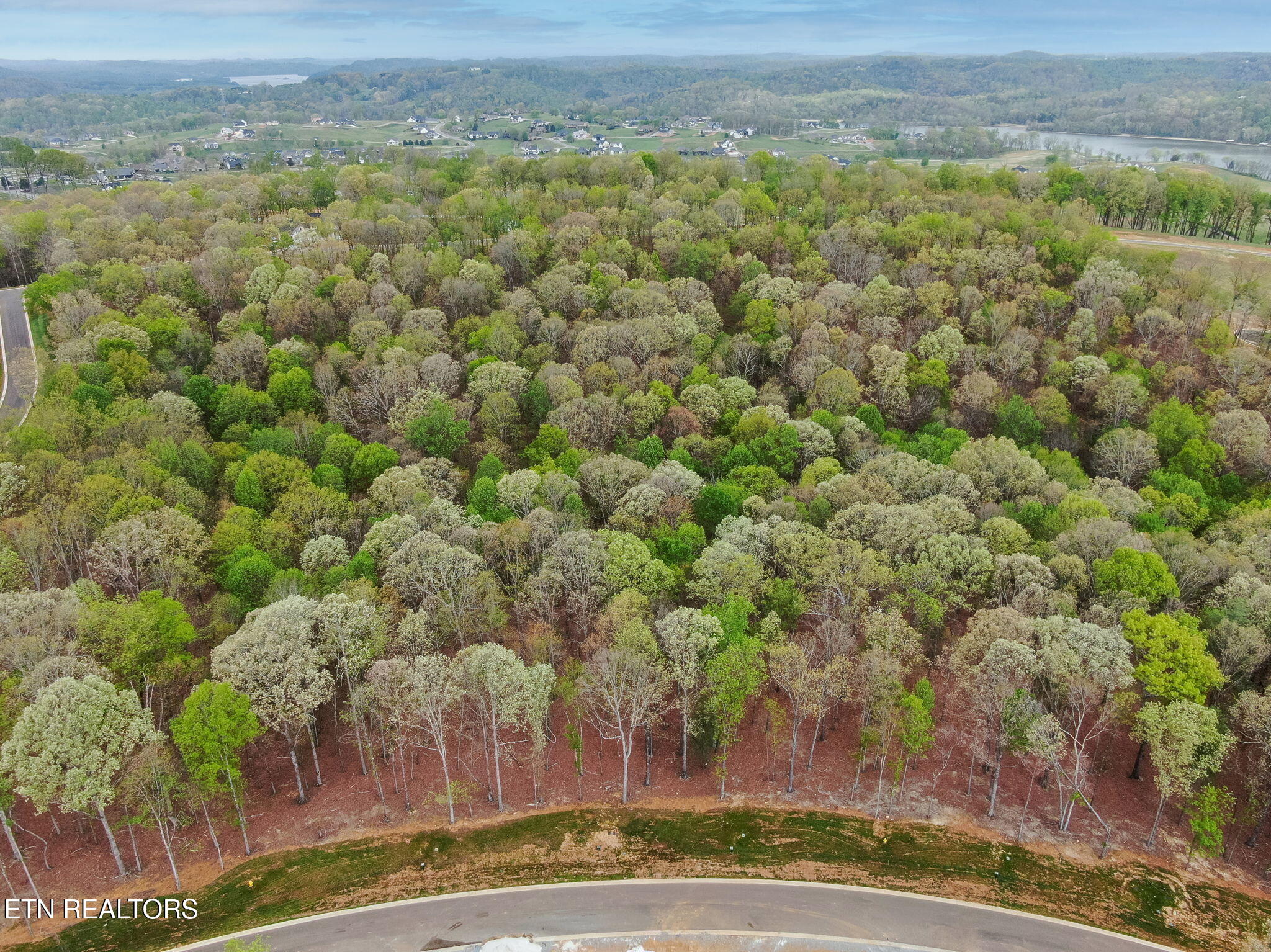 289 Flip Flop Way Loudon, TN 37774 - Photo 14 of 40 14-web-or-mls-Tennessee National_-14