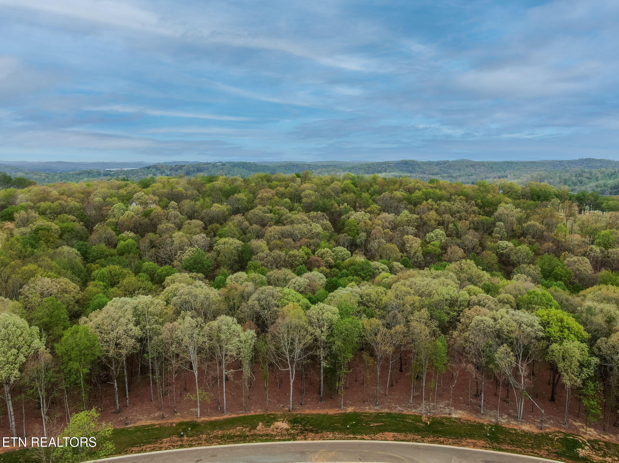 289 Flip Flop Way Loudon, TN 37774 - Photo 15 of 40 15-web-or-mls-Tennessee National_-15