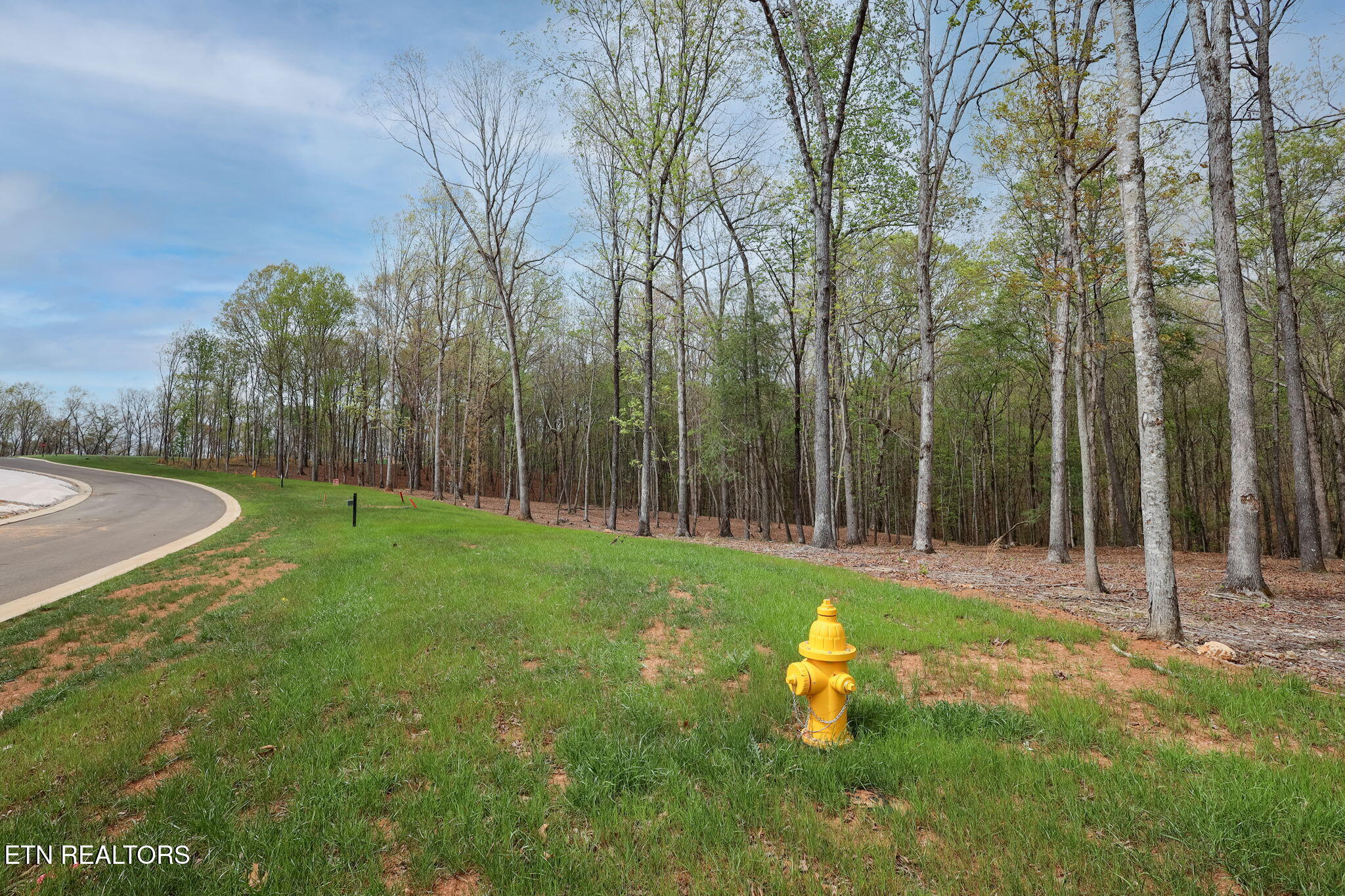 289 Flip Flop Way Loudon, TN 37774 - Photo 29 of 40 29-web-or-mls-Tennessee National__-4