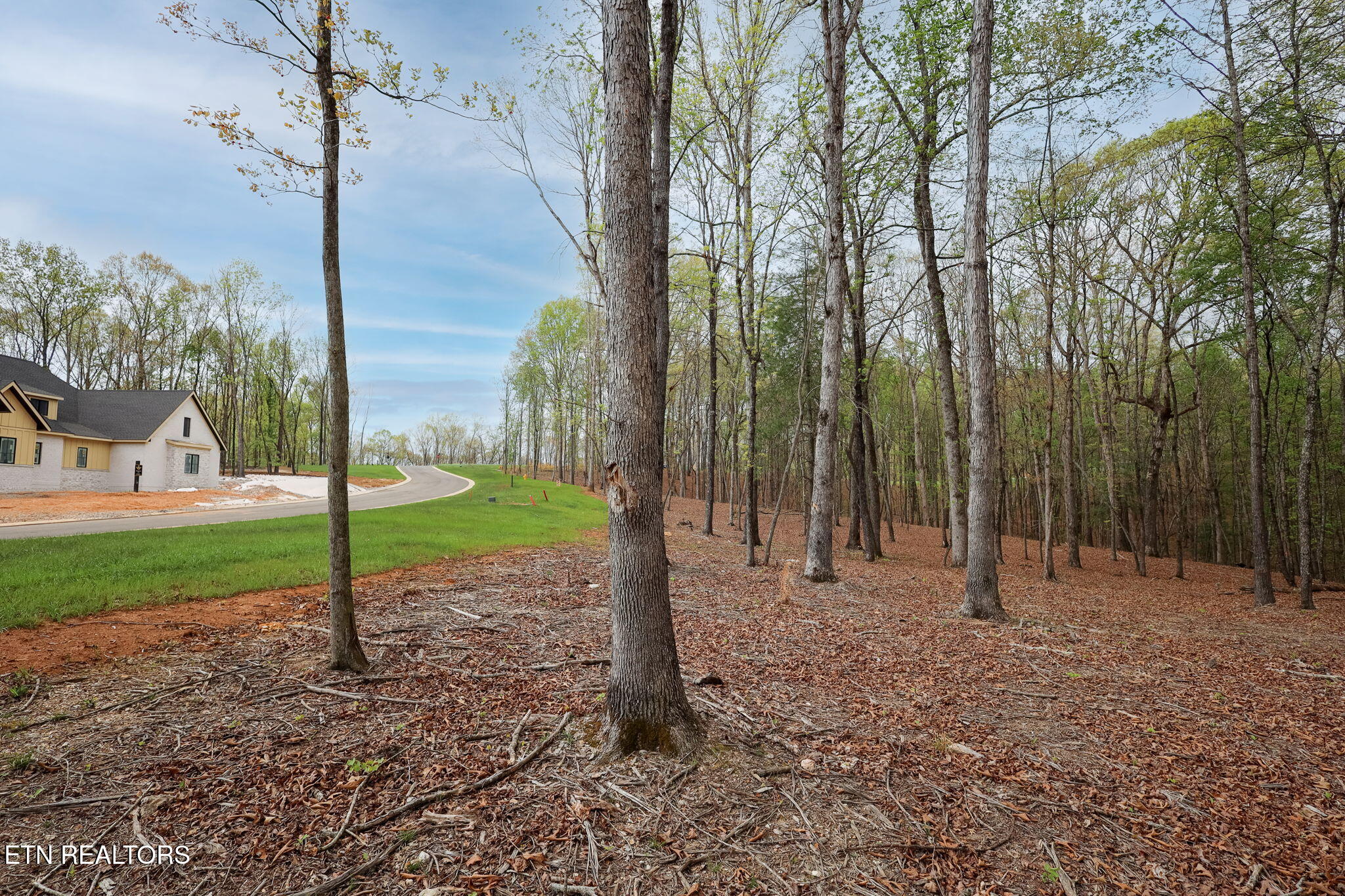 289 Flip Flop Way Loudon, TN 37774 - Photo 30 of 40 30-web-or-mls-Tennessee National__-6