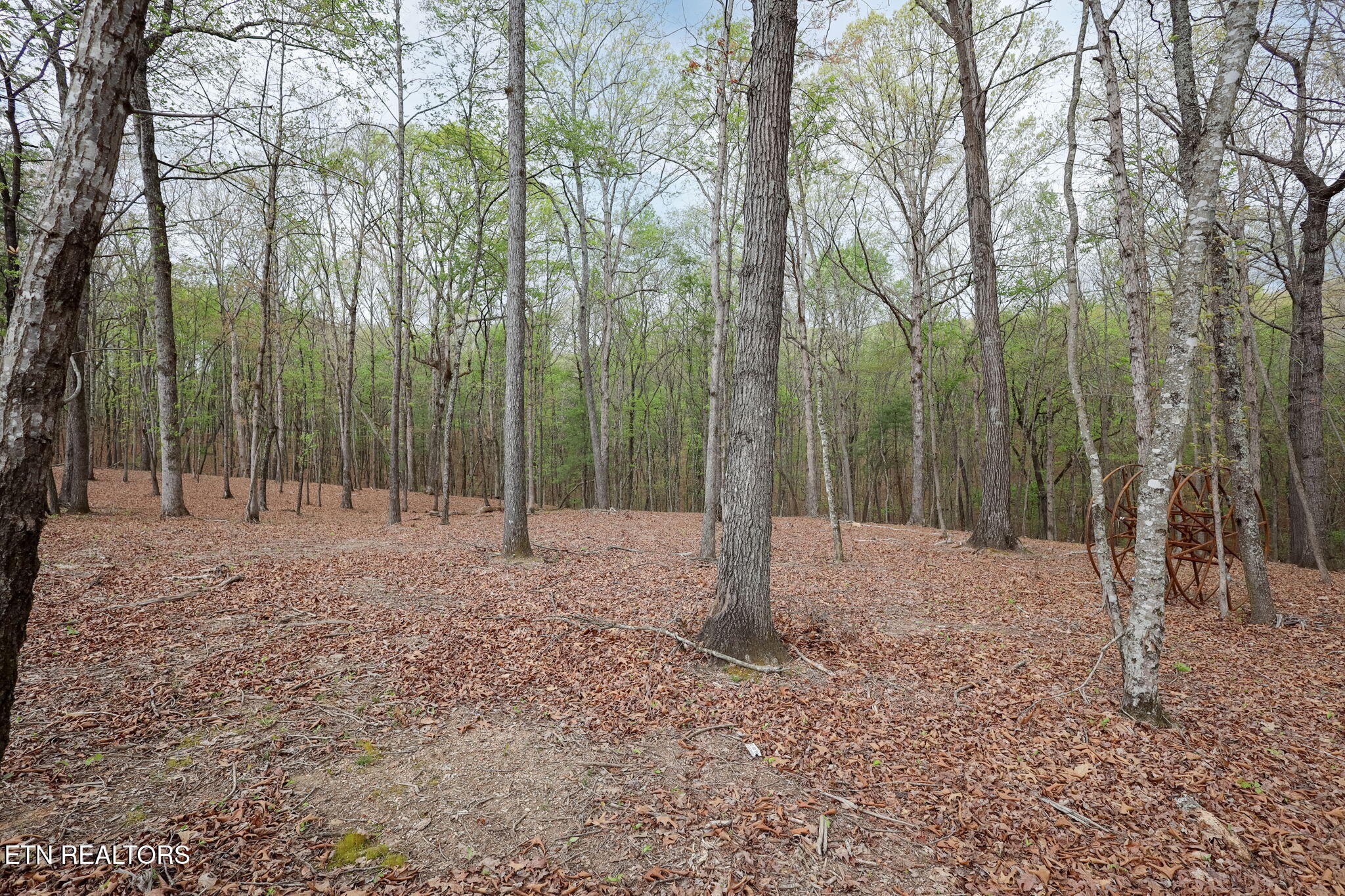 289 Flip Flop Way Loudon, TN 37774 - Photo 31 of 40 31-web-or-mls-Tennessee National__-7
