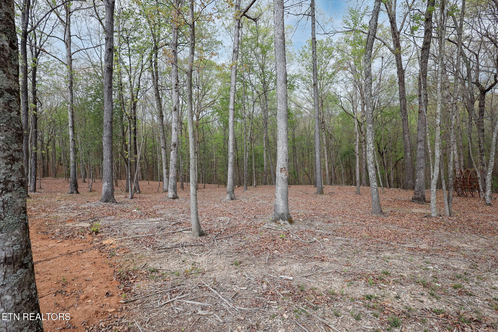 289 Flip Flop Way Loudon, TN 37774 - Photo 32 of 40 32-web-or-mls-Tennessee National__-8