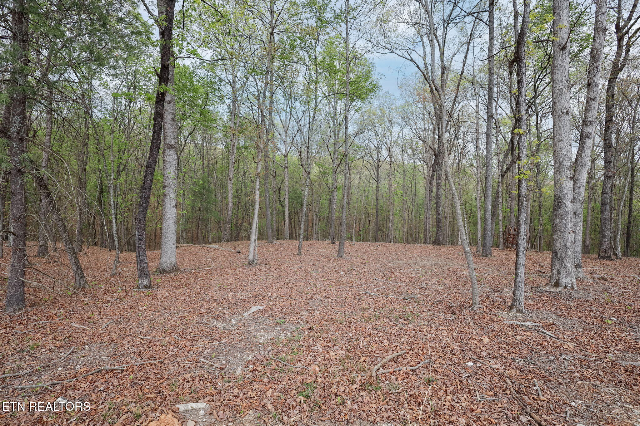 289 Flip Flop Way Loudon, TN 37774 - Photo 33 of 40 33-web-or-mls-Tennessee National__-9