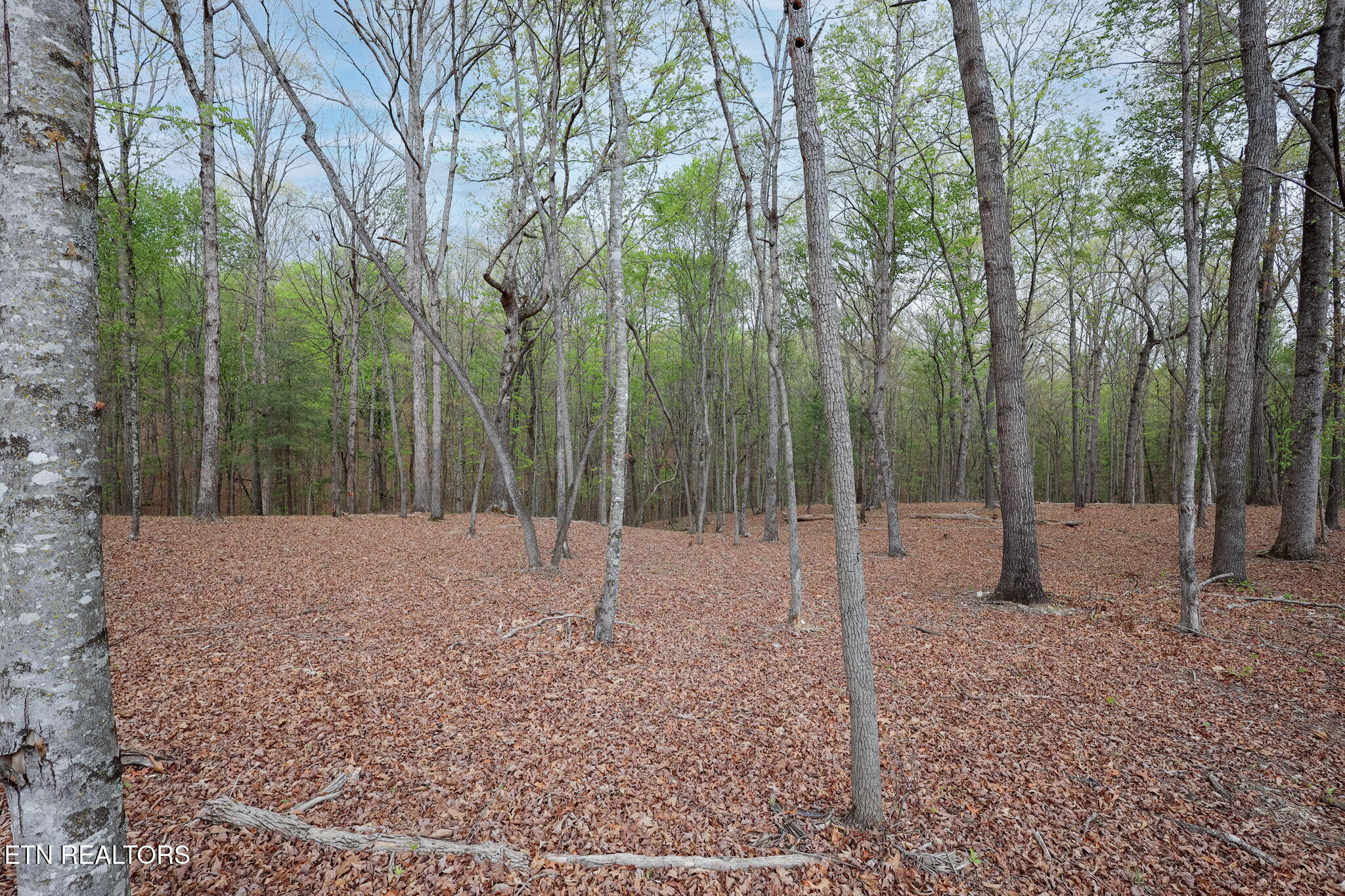 289 Flip Flop Way Loudon, TN 37774 - Photo 34 of 40 34-web-or-mls-Tennessee National__-10