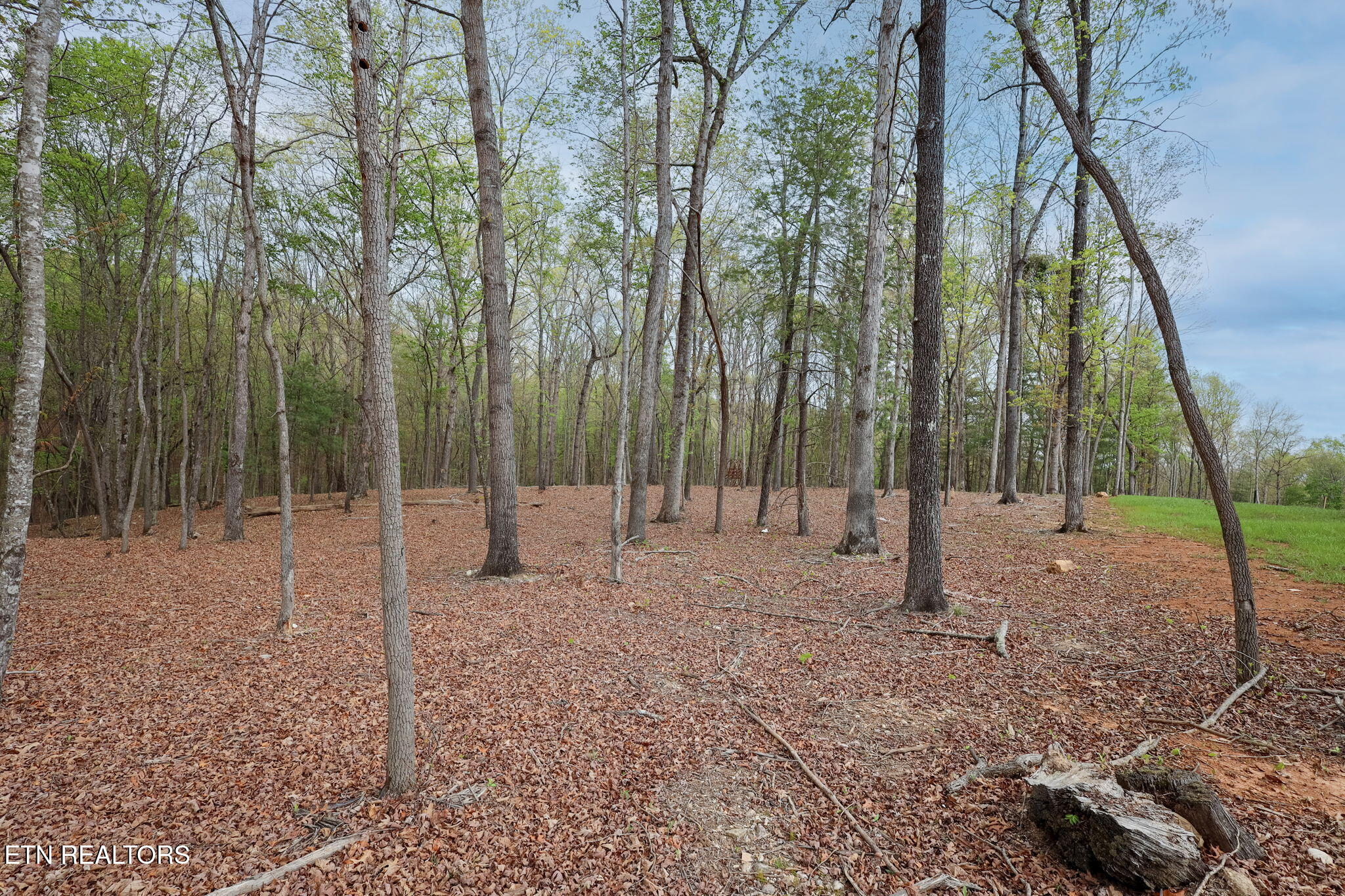 289 Flip Flop Way Loudon, TN 37774 - Photo 35 of 40 35-web-or-mls-Tennessee National__-11