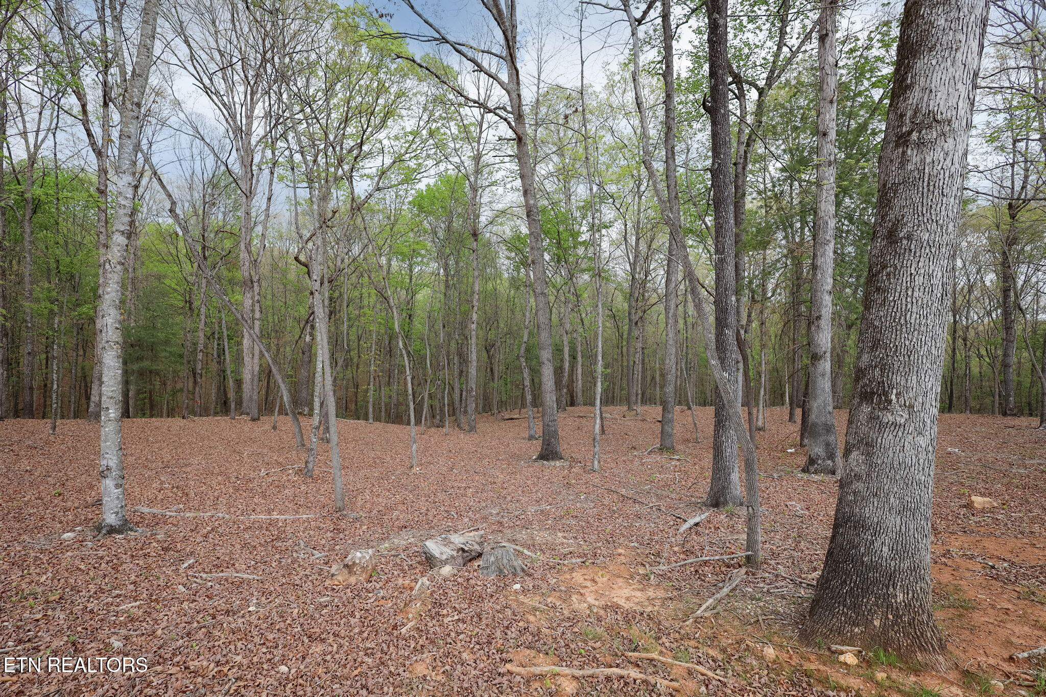 289 Flip Flop Way Loudon, TN 37774 - Photo 36 of 40 36-web-or-mls-Tennessee National__-12