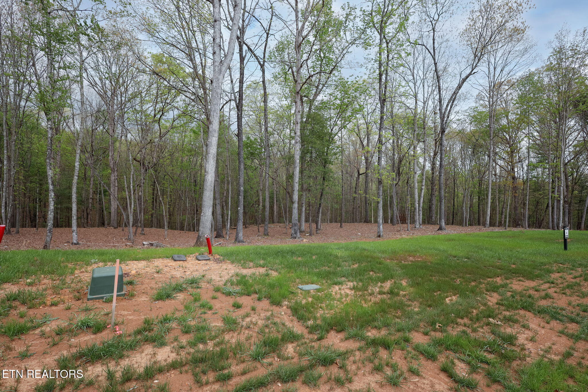 289 Flip Flop Way Loudon, TN 37774 - Photo 37 of 40 37-web-or-mls-Tennessee National__-13