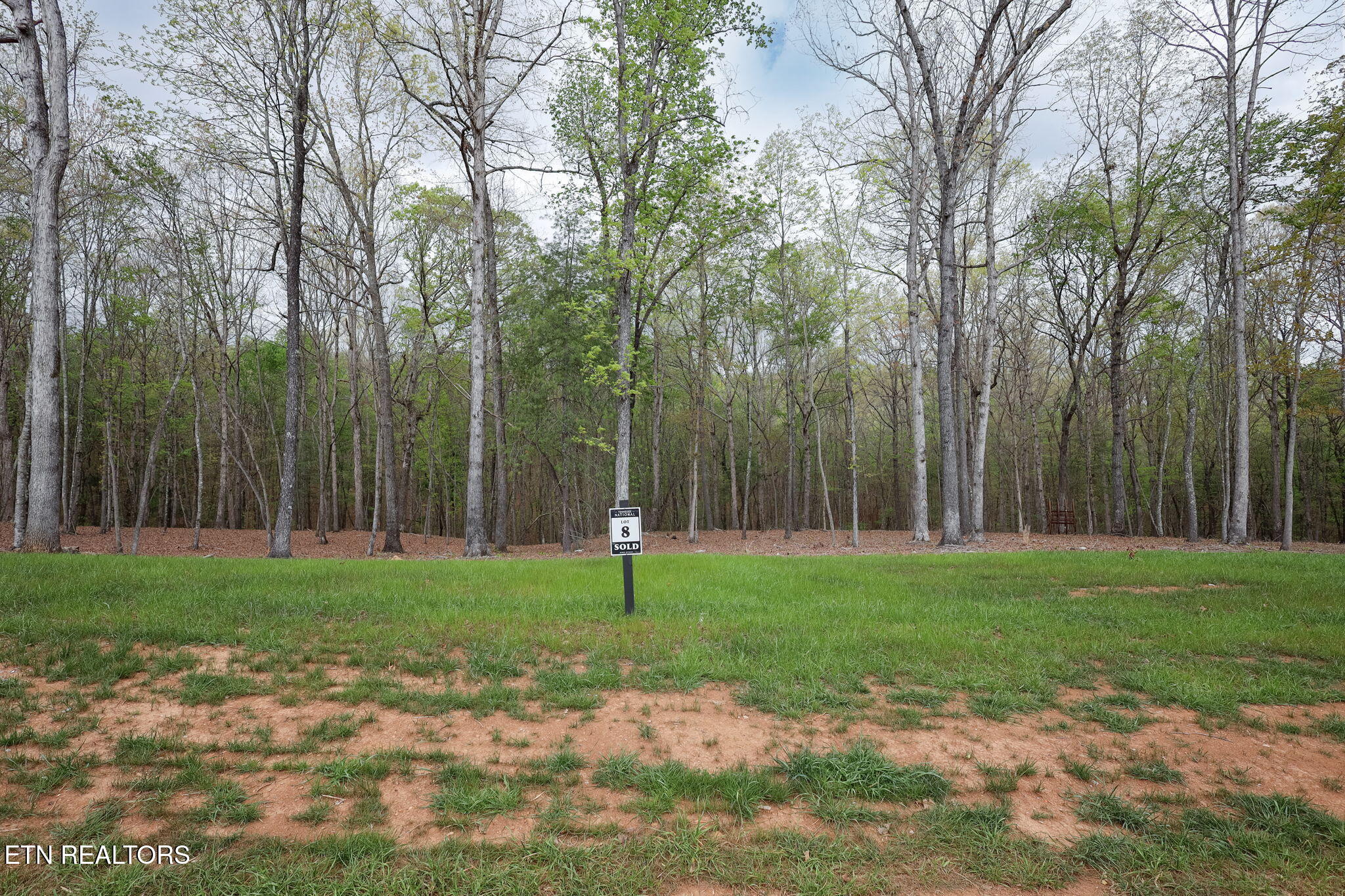 289 Flip Flop Way Loudon, TN 37774 - Photo 38 of 40 38-web-or-mls-Tennessee National__-14