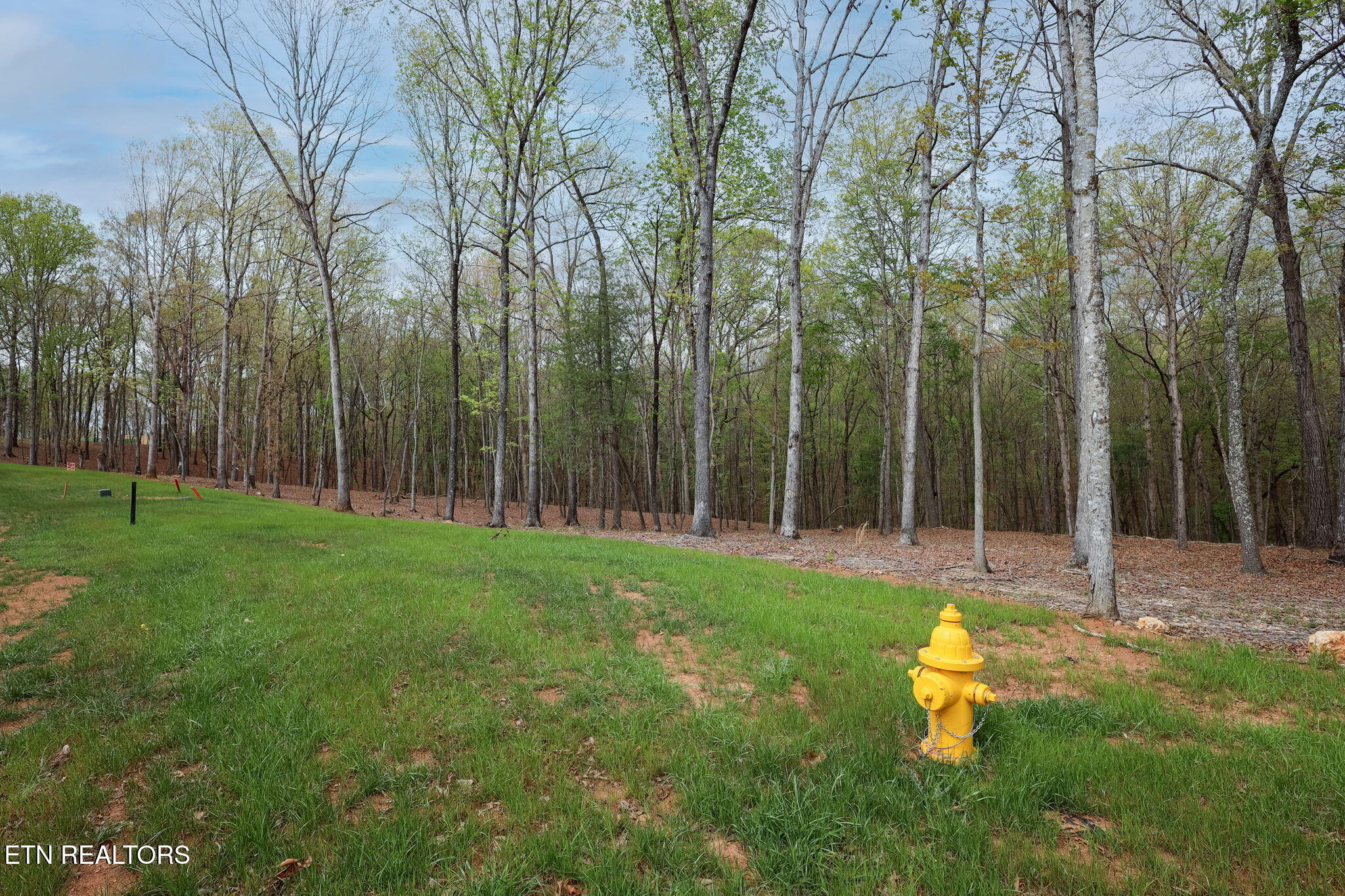 289 Flip Flop Way Loudon, TN 37774 - Photo 39 of 40 39-web-or-mls-Tennessee National__-15