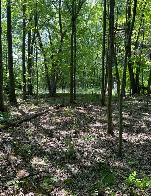 1360 Quick Road Linesville, PA 16424 - Photo 1 of 2 Gallery Image 1