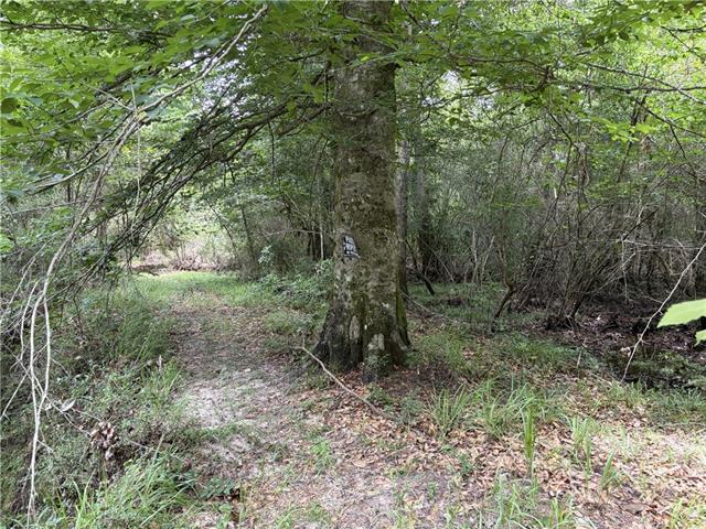 0 Thigpen Road Franklinton, LA 70438 - Photo 8 of 34