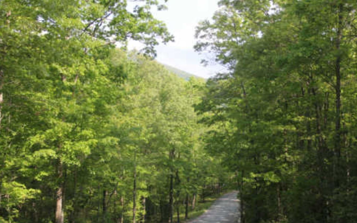 Lot 9 Peter Knob Road Jasper, GA 30143 - Photo 2 of 4 Additional View