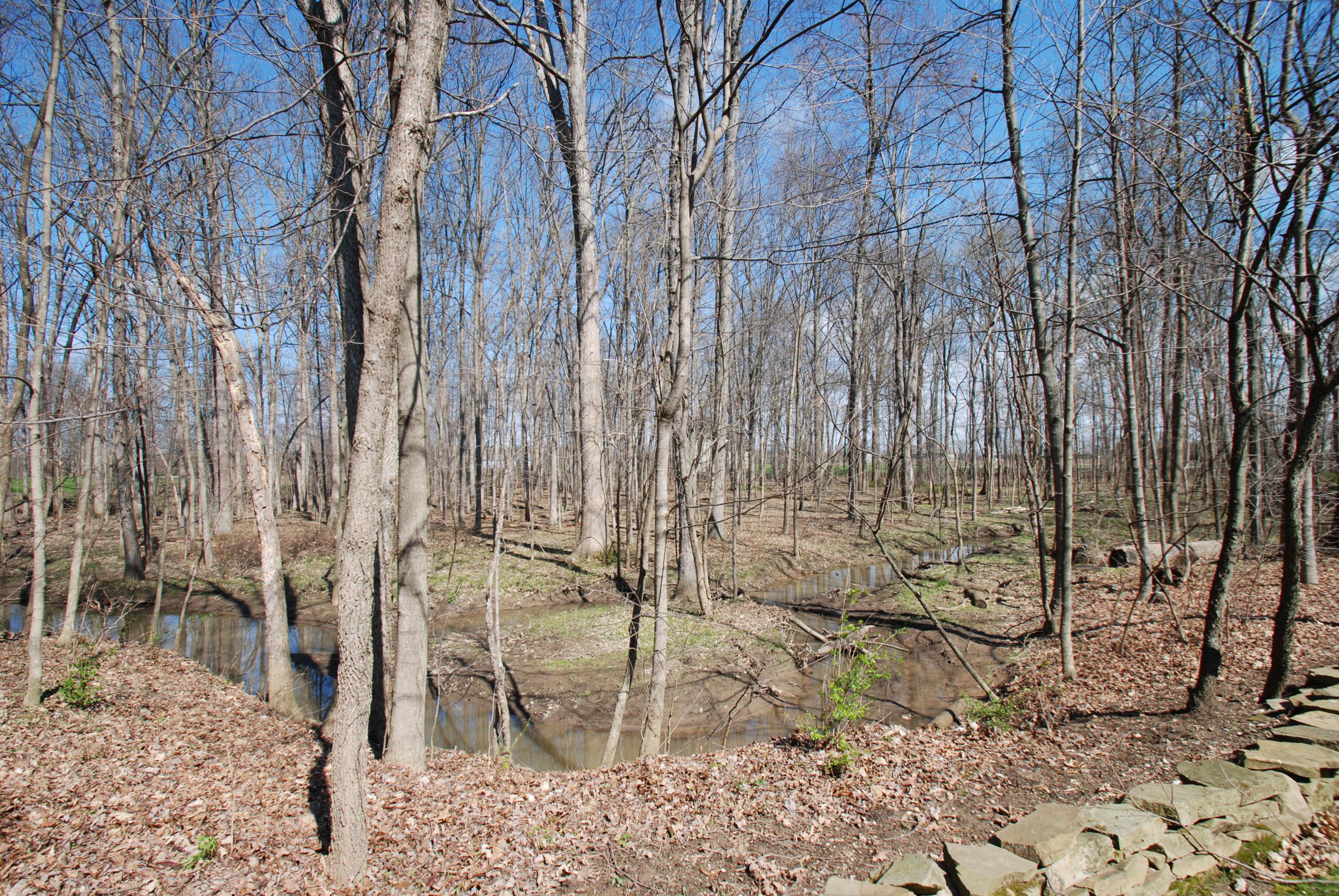 797 Carters Corner Road Sunbury, OH 43074 - Photo 8 of 32 Gallery Image 8