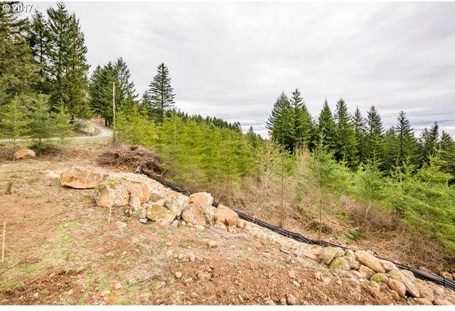 28303 Northeast Hancock Road Camas, WA 98607 - Photo 4 of 9 Gallery Image 4