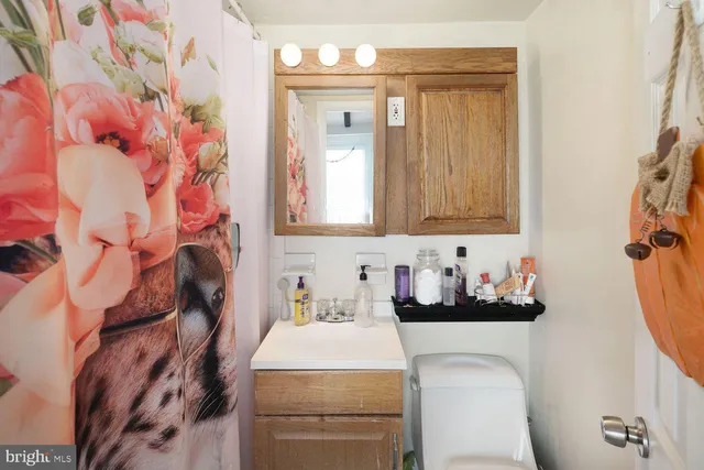 a bathroom with a sink toilet and vanity