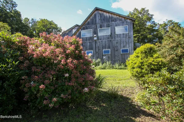 a view of a garden with a flower in a garden