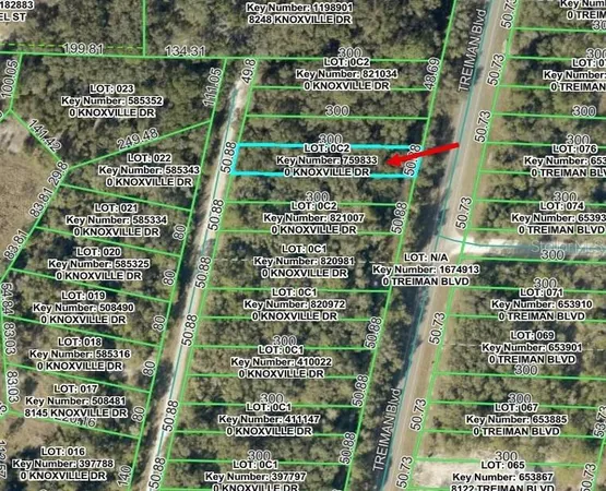$18,500 | Knoxville Drive, Webster, FL 33597