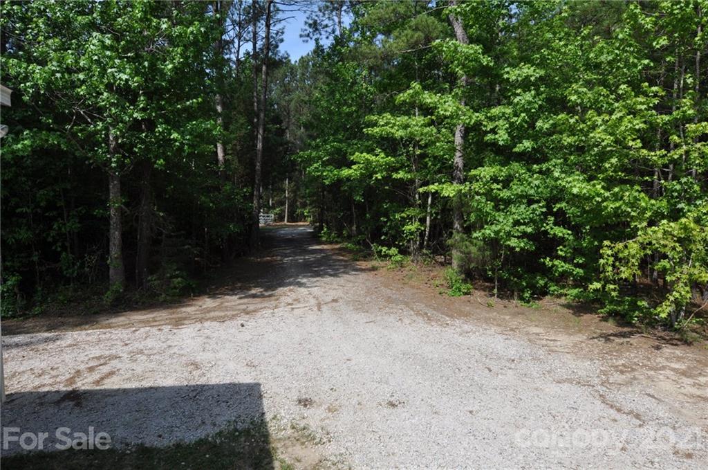 1210 Stringfellow Road Chester, SC 29706 - Photo 14 of 16 a view of a yard with plants and trees