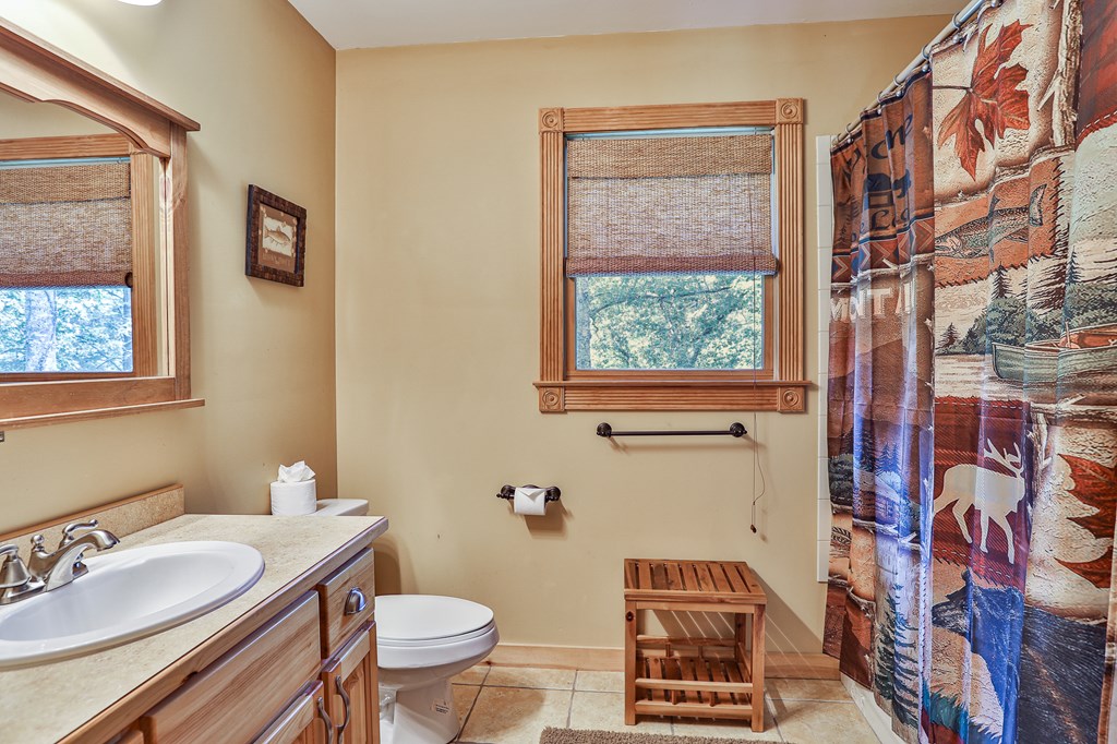 40 Graham Court Ellijay, GA 30540 - Photo 30 of 62 a bathroom with a toilet a sink and a mirror